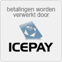 Veilig online betalen met iDEAL!